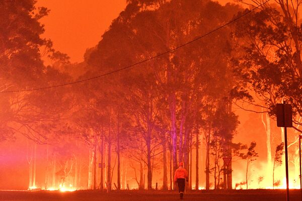 Australia: circa un miliard de animale ucise de flăcări - oamenii evacuați în masă Australia: circa un miliard de animale ucise de flăcări - oamenii evacuați în masă - Sputnik Moldova-România