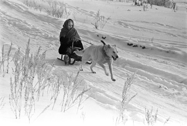 Собака везет девочку на санках, 1971 год - Sputnik Молдова