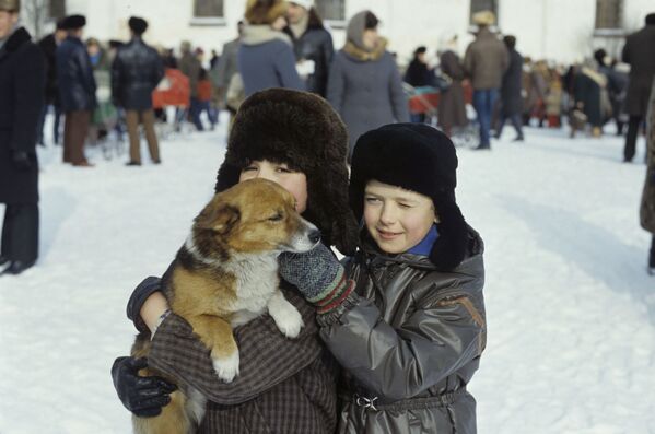 Copii cu un cățeluș, orașul Kargopol, regiunea Arhanghelsk, 1987 - Sputnik Moldova