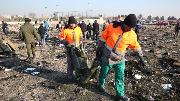 Спасатели на месте крушения самолета в Иране - Sputnik Moldova-România