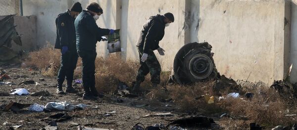 Спасатели на месте крушения самолета в Иране Спасатели на месте крушения самолета в Иране - Sputnik Молдова
