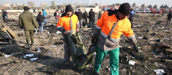 Salvatorii la locul tragediei aviatice produse în Iran - Sputnik Moldova