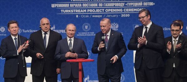 Рабочий визит президента РФ В. Путина в Турецкую Республику - Sputnik Moldova-România