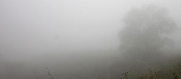 Туман. Туман. - Sputnik Молдова