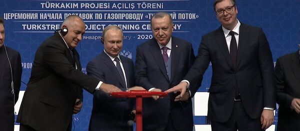 Путин и Эрдоган запустили работу газопровода Турецкий поток - Sputnik Молдова