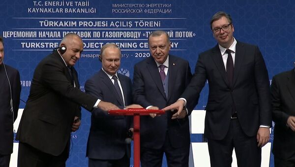 Путин и Эрдоган запустили работу газопровода Турецкий поток - Sputnik Молдова