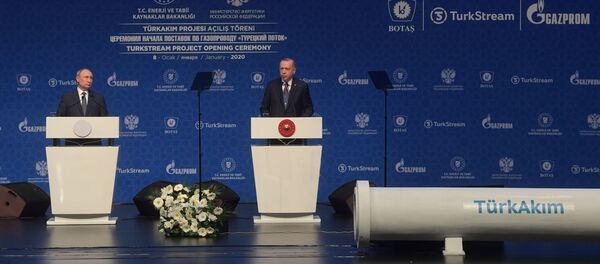 Путин и Эрдоган запустили работу газопровода Турецкий поток - Sputnik Moldova-România