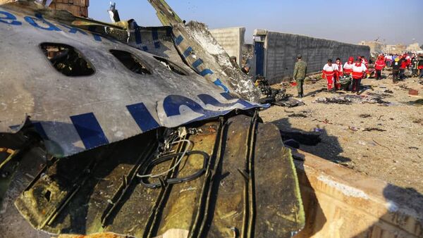 Украинский пассажирский самолет потерпел крушение в Иране - Sputnik Moldova
