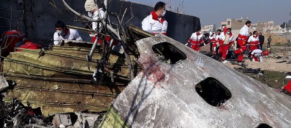 Украинский пассажирский самолет потерпел крушение в Иране - Sputnik Moldova-România