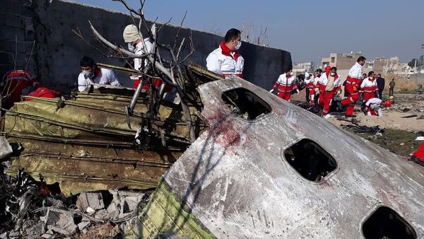 Украинский пассажирский самолет потерпел крушение в Иране - Sputnik Moldova-România
