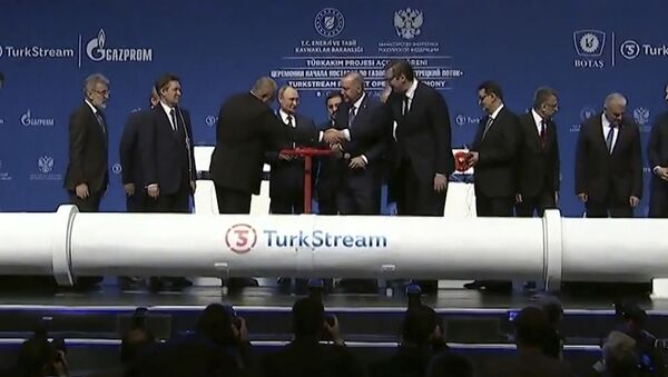 Turkish Stream a fost lansat: care vor fi prețurile la gaz? - Sputnik Moldova-România