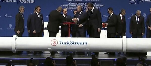 Turkish Stream a fost lansat: care vor fi prețurile la gaz? - Sputnik Moldova