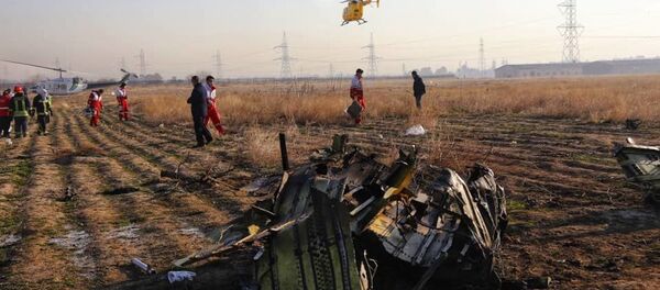Украинский пассажирский самолет потерпел крушение в Иране Украинский пассажирский самолет потерпел крушение в Иране - Sputnik Молдова