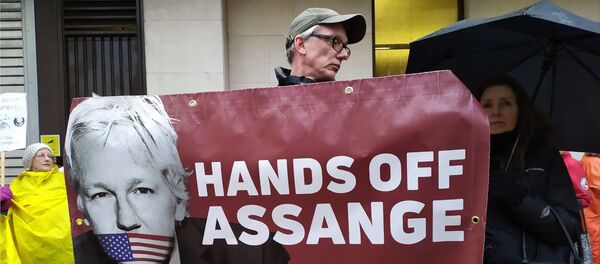 A man holds a banner at a rally in support of Assange in London - Sputnik Moldova-România
