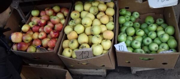 Молдавские яблоки, архивное фото. - Sputnik Молдова
