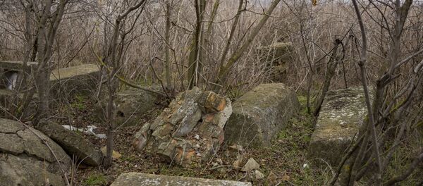 Cimitirul evreiesc din Cimișlia Cimitirul evreiesc din Cimișlia - Sputnik Молдова