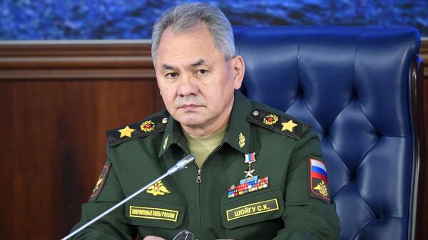Министр обороны РФ, генерал армии Сергей Шойгу - Sputnik Moldova