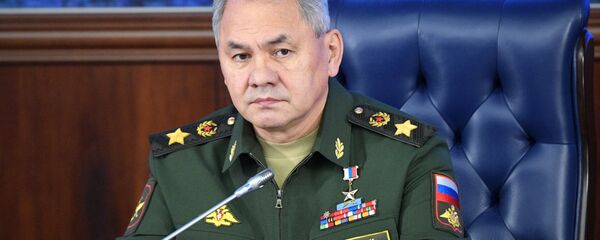 Министр обороны РФ, генерал армии Сергей Шойгу Министр обороны РФ, генерал армии Сергей Шойгу - Sputnik Moldova-România