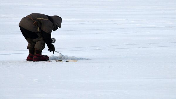 Зимняя подледная рыбалка на Иван-Озере - Sputnik Молдова
