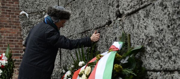 70-летие освобождения концентрационного лагеря Аушвиц-Биркенау - Sputnik Moldova