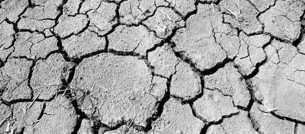 Высохшая земля - Sputnik Moldova