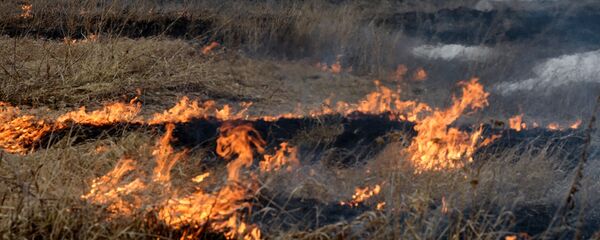 Горение сухой травы - Sputnik Молдова