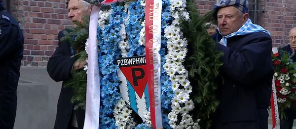Ко дню памяти жертв Холокоста: истории узников Освенцима и версии политиков - Sputnik Молдова