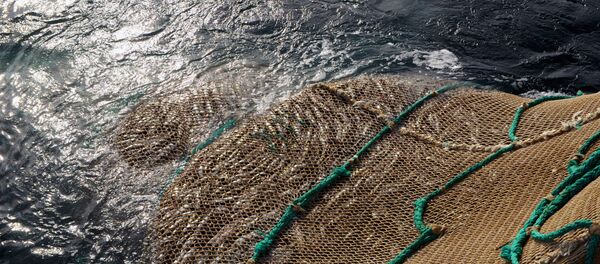 Рыболовная сеть - Sputnik Молдова