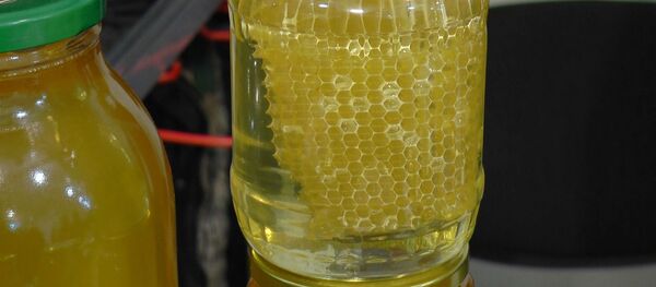 Ложка дегтя: почему ЕС отказывается от молдавского меда Ложка дегтя: почему ЕС отказывается от молдавского меда - Sputnik Молдова