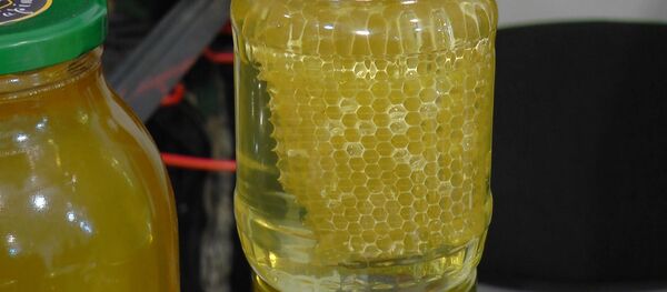 Lingura de fiere: De ce UE refuză mierea moldovenească - Sputnik Moldova