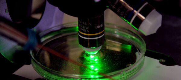 Лаборатория биомедицинских клеточных технологий во Владивостоке Лаборатория биомедицинских клеточных технологий во Владивостоке - Sputnik Молдова