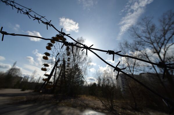 В эвакуированном после аварии на ЧАЭС городе Припять в Чернобыльской Зоне Отчуждения - Sputnik Молдова
