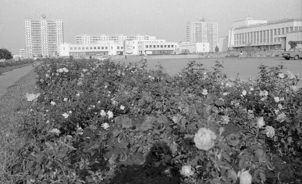Микрорайон города Припять в Киевской области, 1985 год - Sputnik Молдова