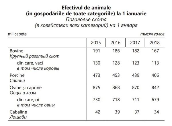 Cojocăritul, o meserie care aducea bunăstare, acum pe cale de dispariție – Studiu de caz Cojocăritul, o meserie care aducea bunăstare, acum pe cale de dispariție – Studiu de caz - Sputnik Moldova