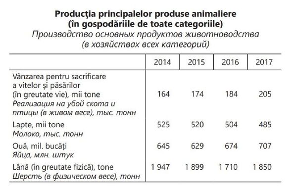 Cojocăritul, o meserie care aducea bunăstare, acum pe cale de dispariție – Studiu de caz Cojocăritul, o meserie care aducea bunăstare, acum pe cale de dispariție – Studiu de caz - Sputnik Moldova
