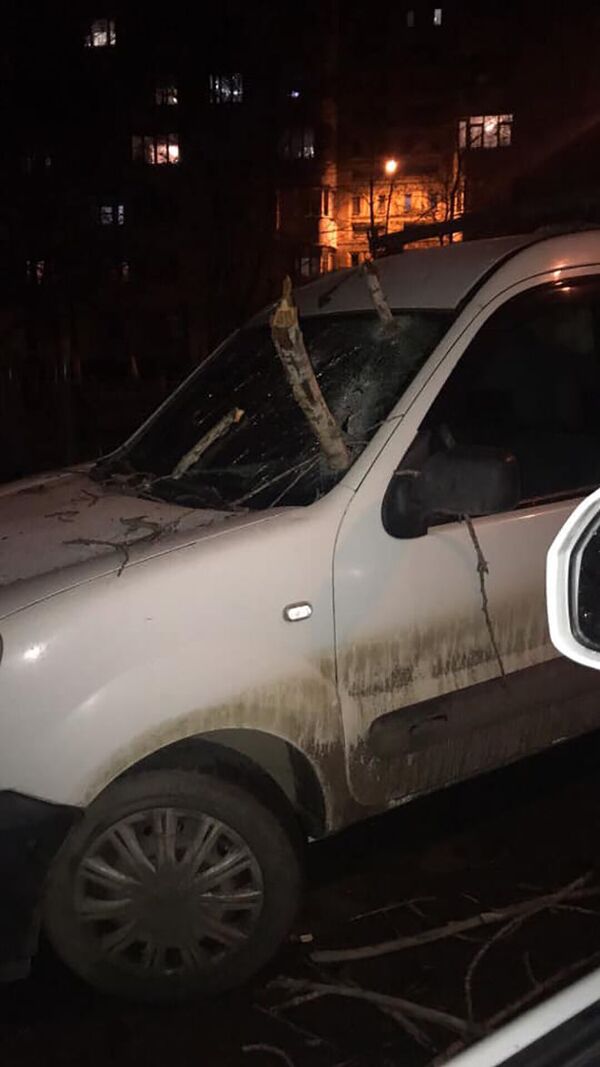 Непогода в Молдове — сильный ветер валил деревья на улицах столицы Непогода в Молдове — сильный ветер валил деревья на улицах столицы - Sputnik Молдова