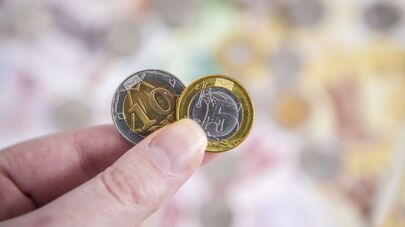 Молдавские леи