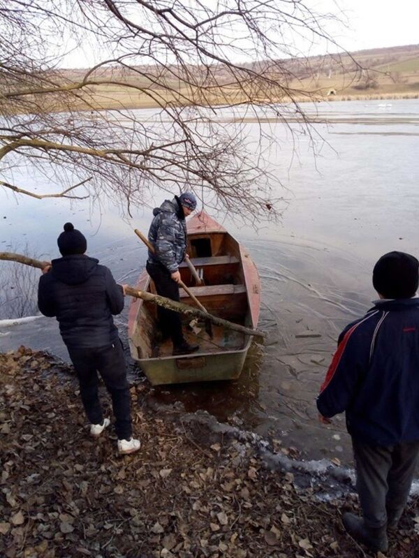 Mai multe lebede au fost salvate de la moarte în Orhei – foto  - Sputnik Moldova