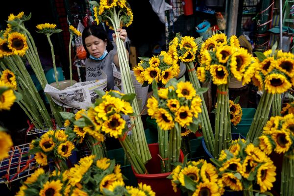 Продавщица цветов в медицинской маске в День святого Валентина в Маниле, Филиппины - Sputnik Молдова