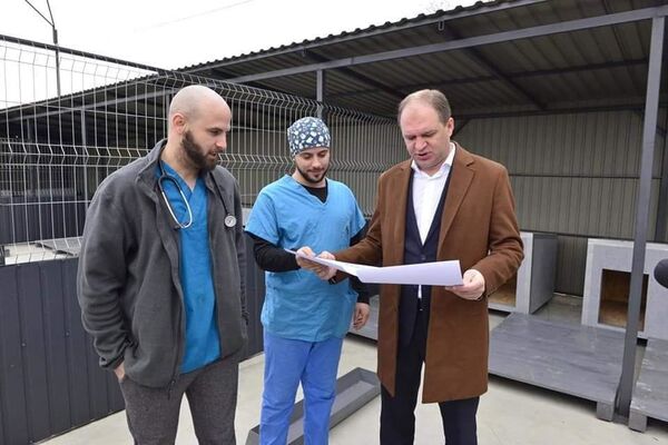 Были ничейными, но обрели дом - куда поместили бродячих собак в Кишиневе - Sputnik Молдова