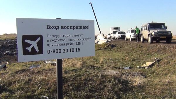 В Сети появились новые документы по делу о крушении MH17 - Sputnik Молдова