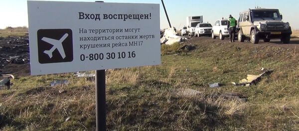 Au ieșit la iveală noi documente în cazul prăbușirii MH17 - Sputnik Moldova