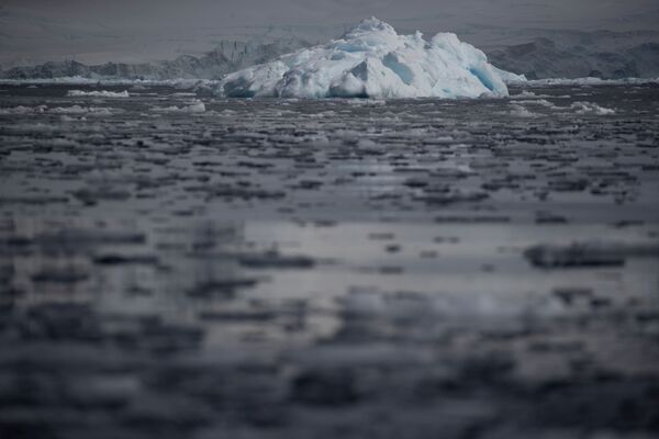 Куски льда плавают в воде около залива Фурнье в Антарктиде - Sputnik Молдова