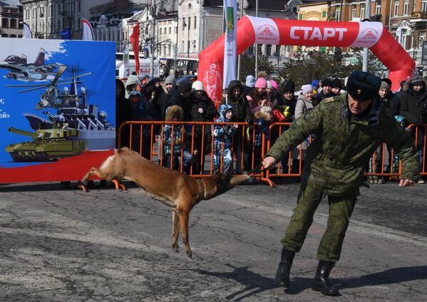 Кинолог с собакой во время демонстрационных выступлений на праздничных мероприятиях в честь Дня защитника отечества во Владивостоке - Sputnik Молдова