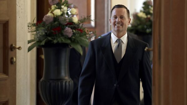 Richard  Grenell - Sputnik Moldova