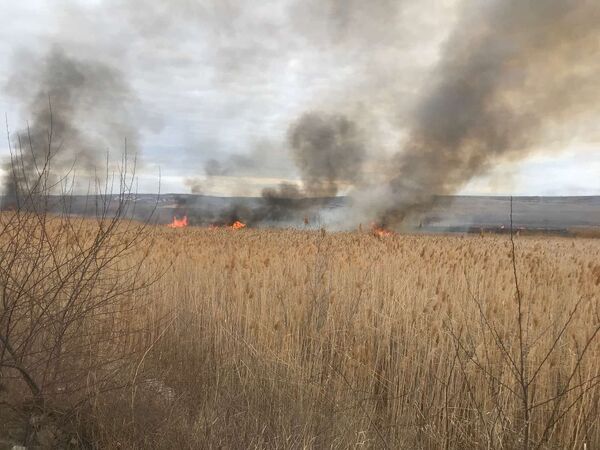 Pericol de incendii în toată țara: Peste 50 doar în ultimele 24 de ore Pericol de incendii în toată țara: Peste 50 doar în ultimele 24 de ore - Sputnik Moldova