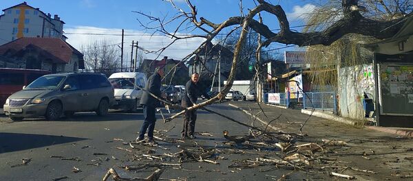 Последствия сильного ветра в Кишиневе - Sputnik Moldova