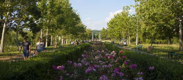 Аллея в парке Ла Извор - Sputnik Молдова