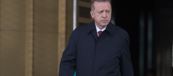 Визит президента РФ В. Путина в Турцию - Sputnik Moldova