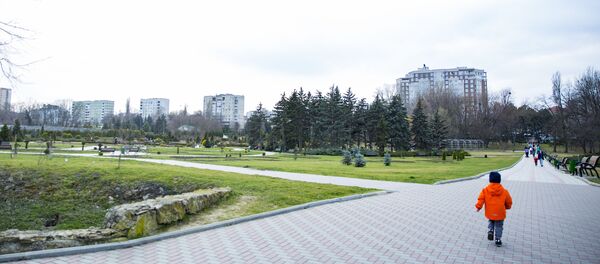 Весна в дендрарии: цветы распустились раньше времени. - Sputnik Молдова